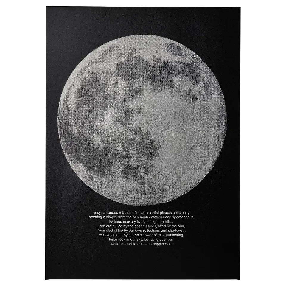 PJÄTTERYD poster, black and white moon print on polyester canvas, modern black background, deep frame, silver moon contrast, artistic lunar texture.