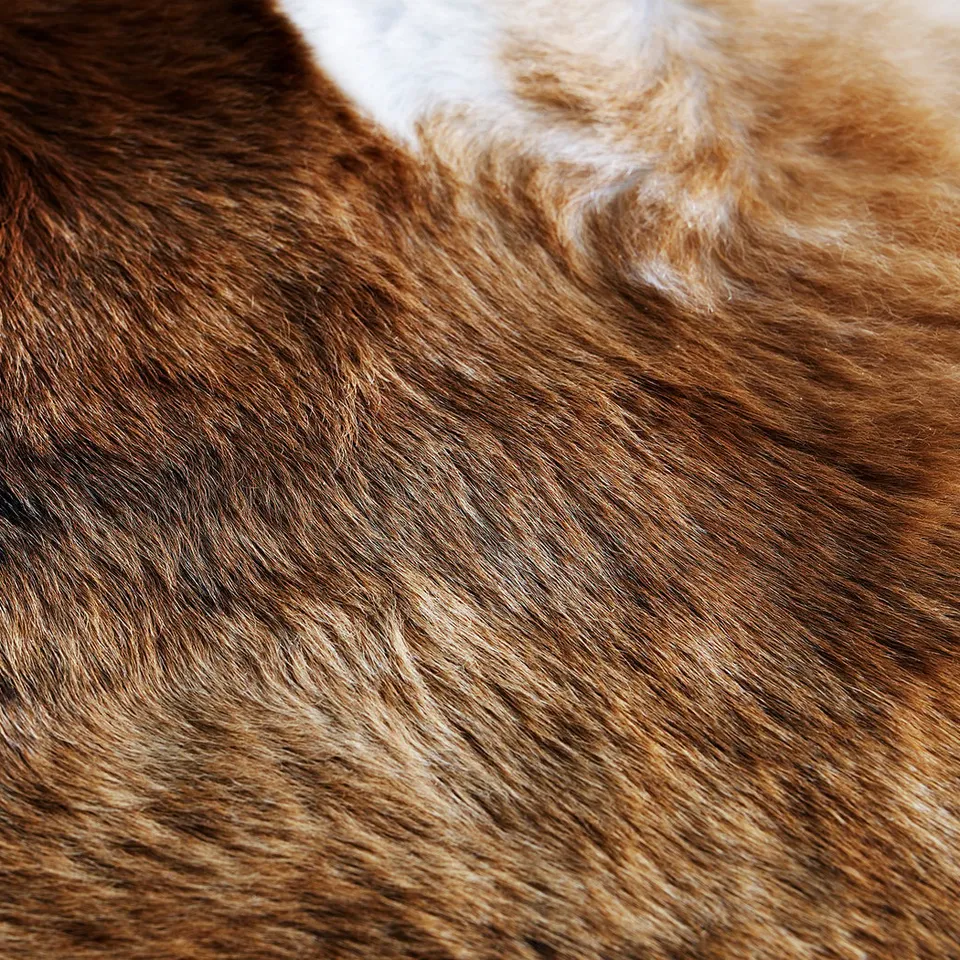 Close-up of brown cowhide texture, natural hair patterns, and uneven colour shading.