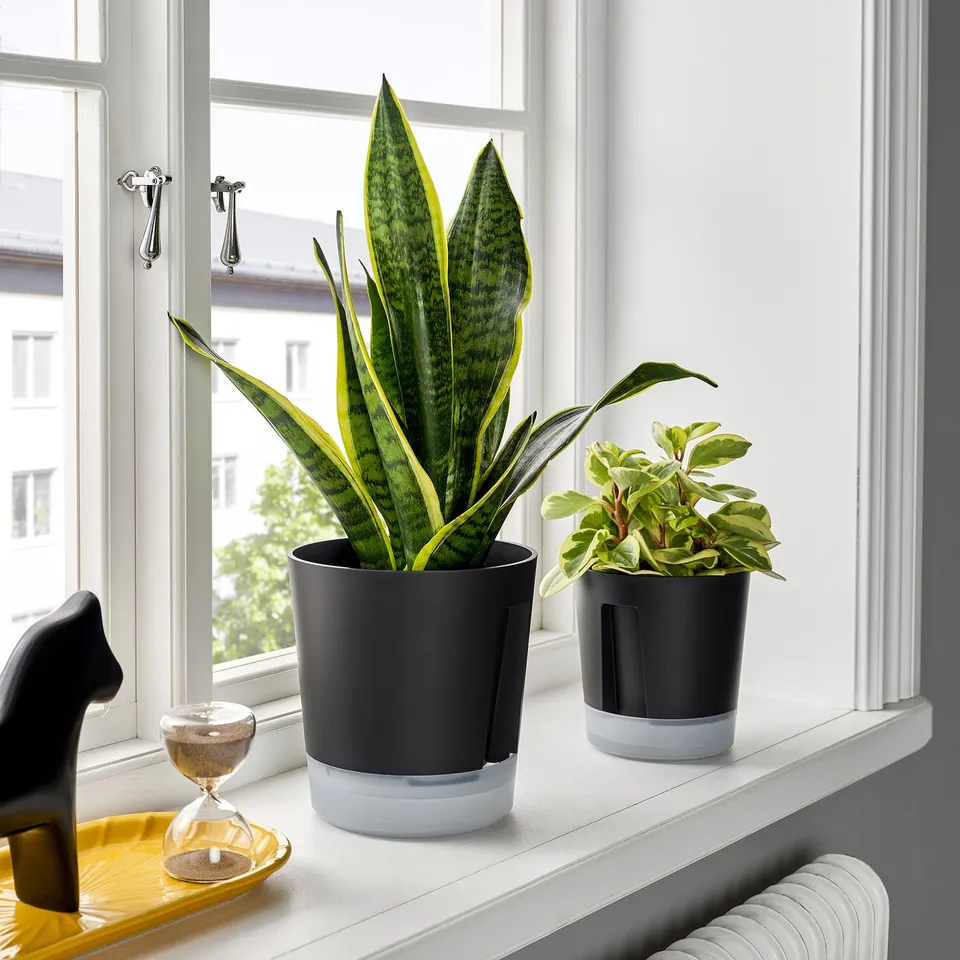 VÅRDTRÄD in a room
