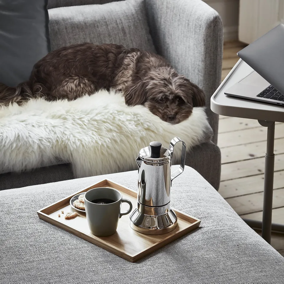 Cosy living room: brown dog sleeps on grey SÖDERHAMN sofa, laptop on side table, coffee setup nearby.