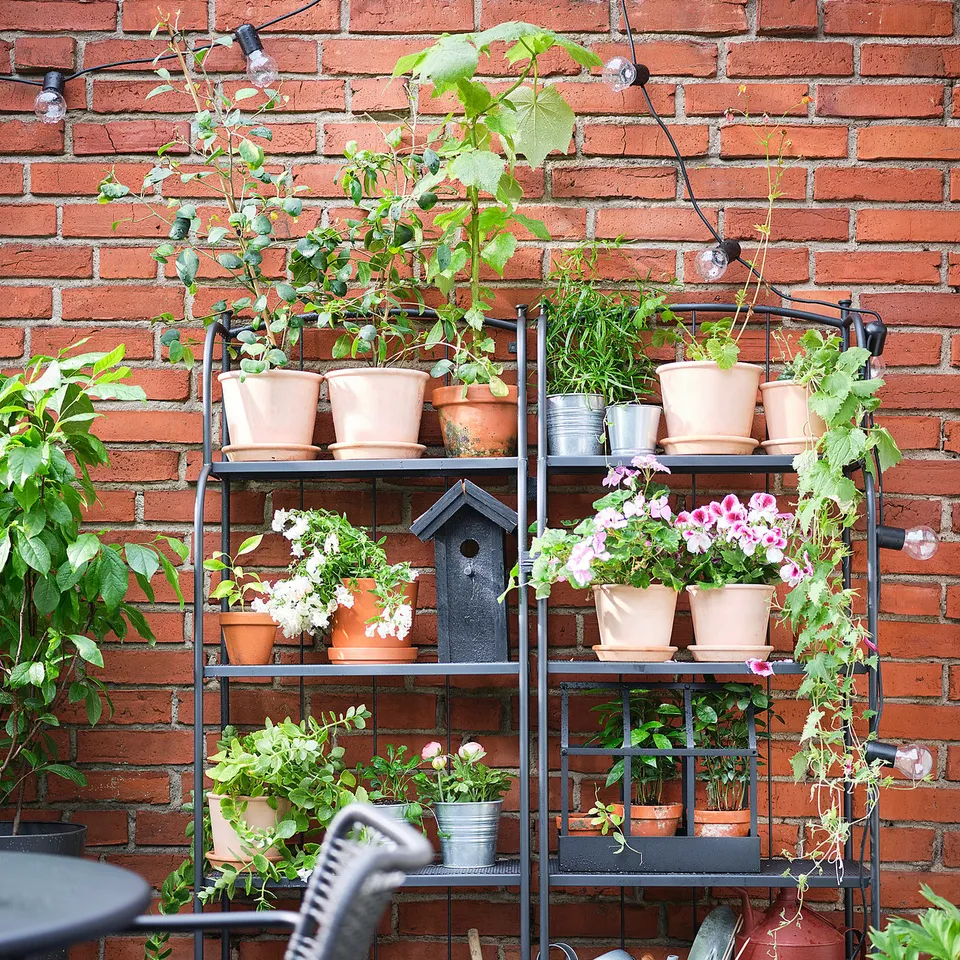 Romantic LÄCKÖ shelf with terracotta plants and birdhouse against brick wall.