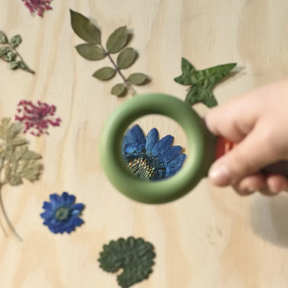 Childs hand holding a green toy magnifying glass over a colourful flower on a wooden surface, demonstrating the magnification feature.