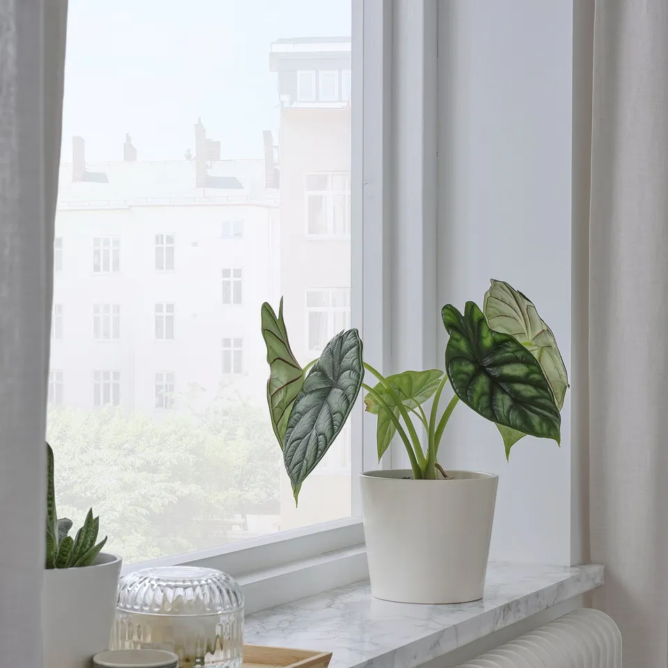 part: SOJABÖNA plant pot