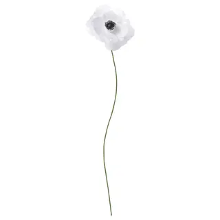 GULDSPETT artificial flower, paper/Anemone white, 35 cm