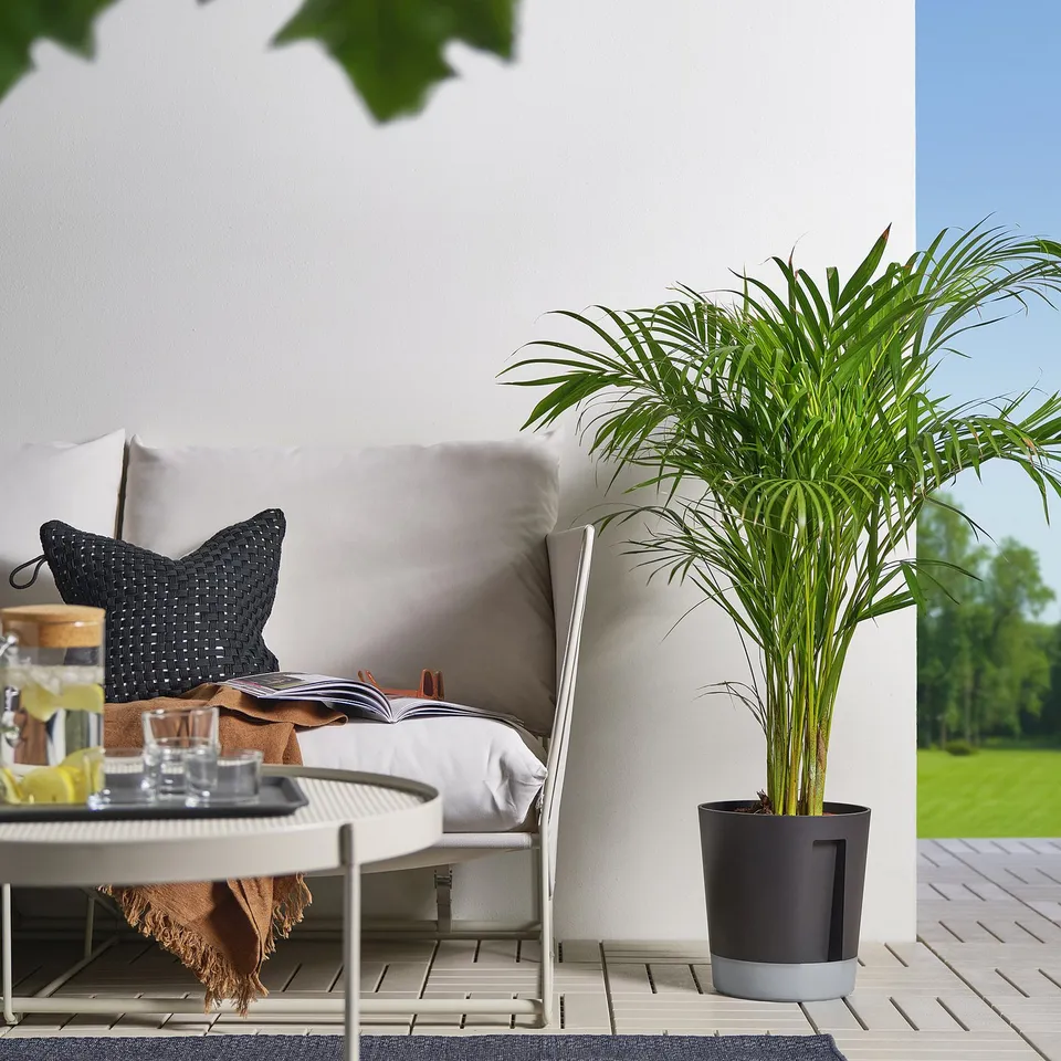 part: VÅRDTRÄD self-watering plant pot
