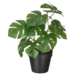 FEJKA artificial potted plant, in/outdoor Monstera, 12 cm