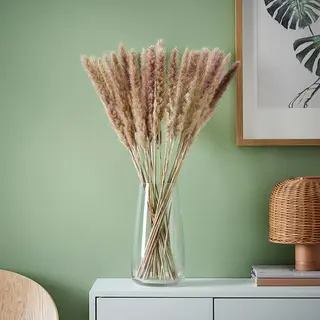 BERÄKNA/TORKA set: dried plants + vase