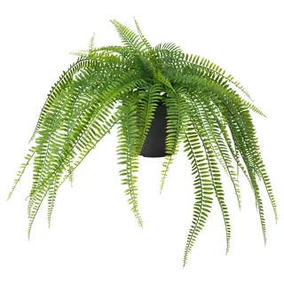 FEJKA artificial potted plant, in/outdoor hanging/fern, 12 cm