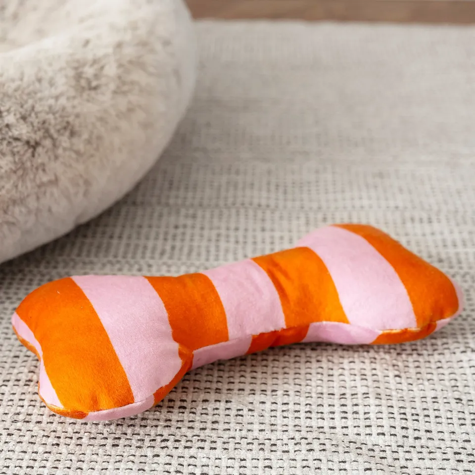 A colourful, striped soft dog toy on a mesh surface, ideal for indoor play and bonding.