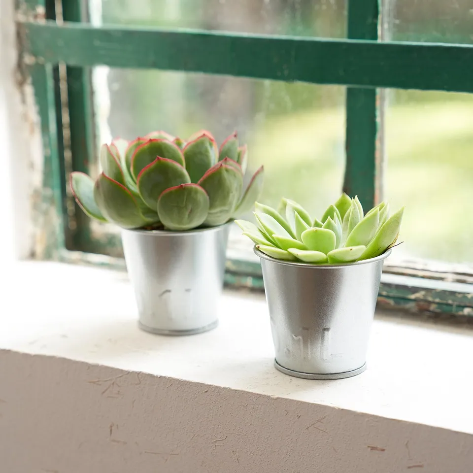 part: ÅKERBÄR plant pot