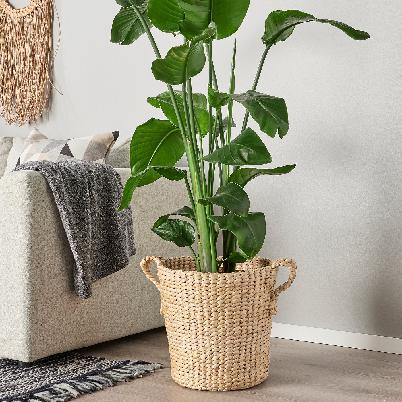 part: TÖRNBÄR plant pot