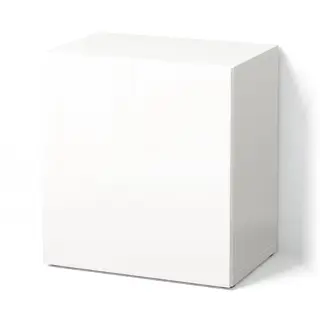 BESTÅ shelf unit with door, white/Selsviken high-gloss/white, 60x42x64 cm