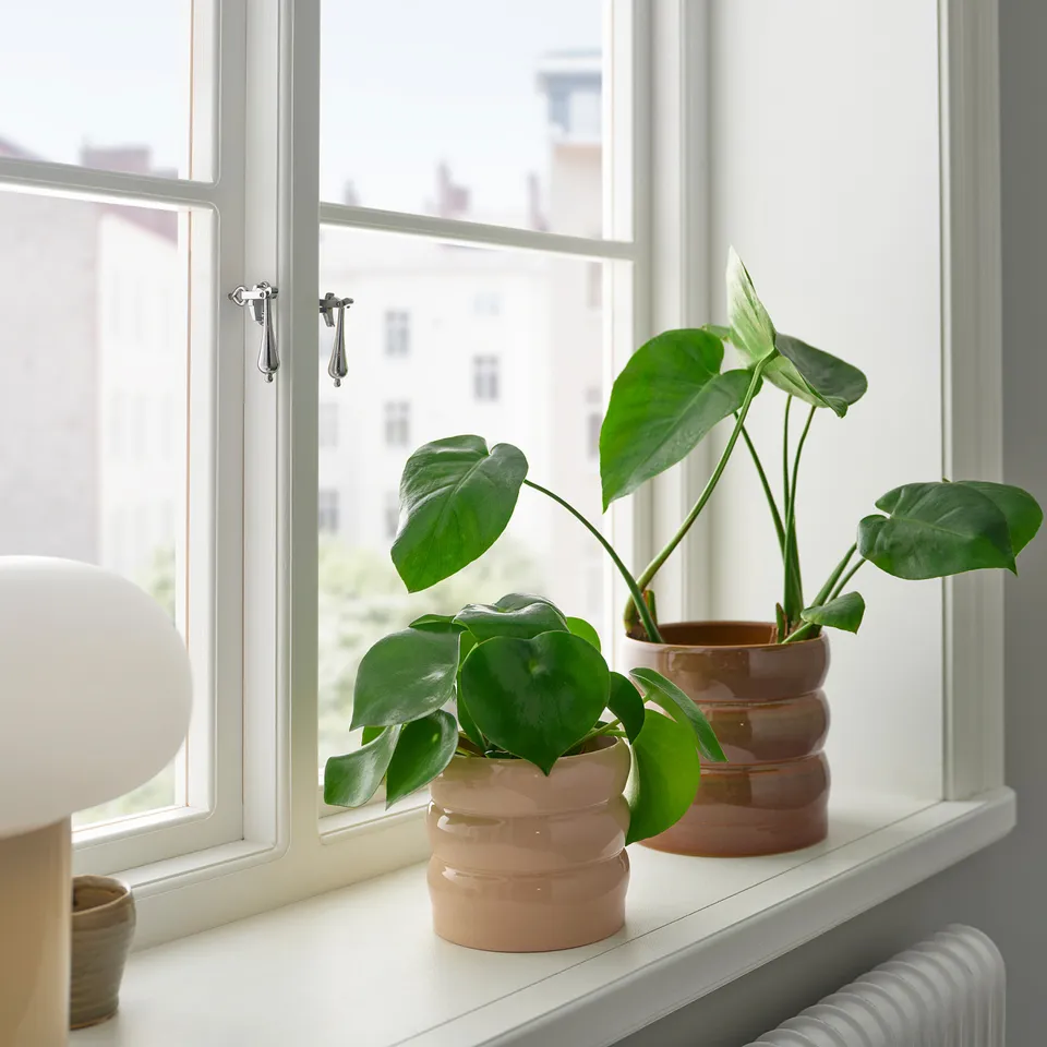 part: HASSELBUKETT plant pot