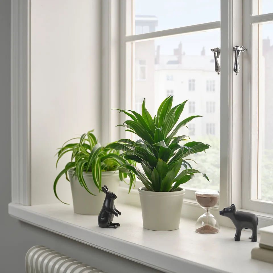 part: KÖRSBÄRSBJÖRK plant pot