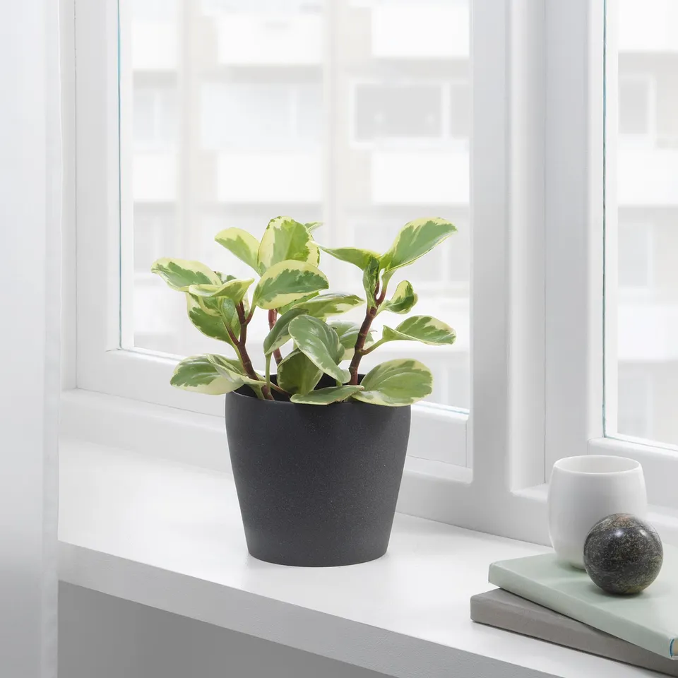 part: PERSILLADE plant pot