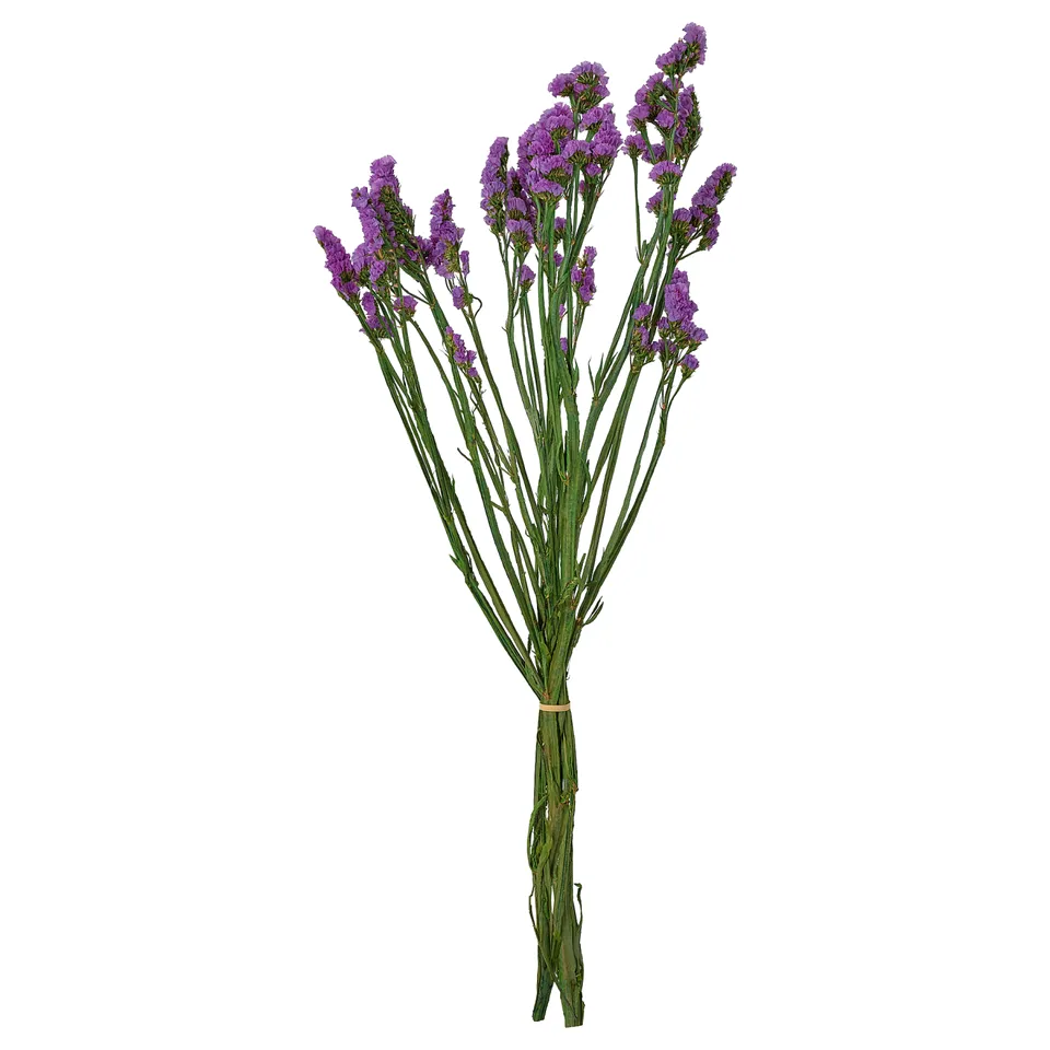 part: TORKA dried parts of flowers/plants