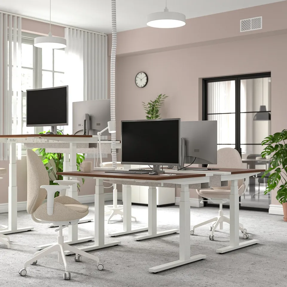 Modern office with MITTZON sit/stand desks, white chairs, wood tops, round lights, clock, plants, and large windows.