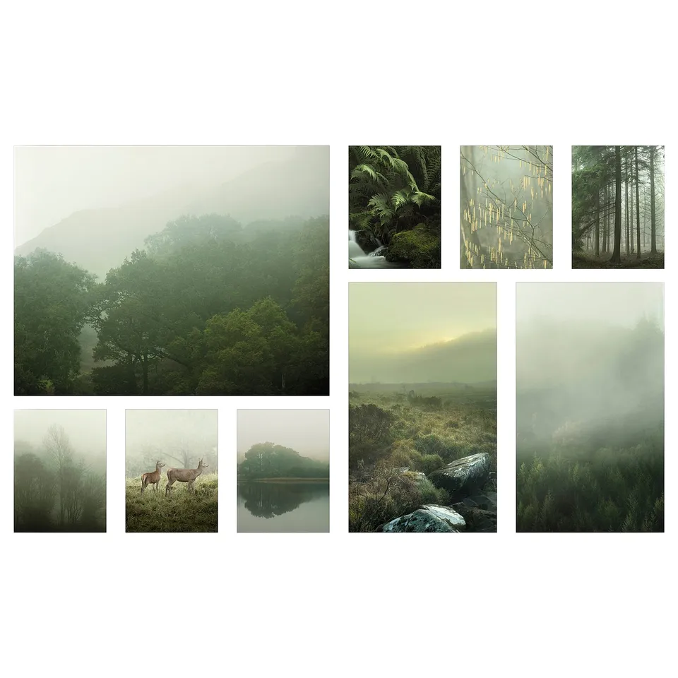 part: PJÄTTERYD picture, set of 9