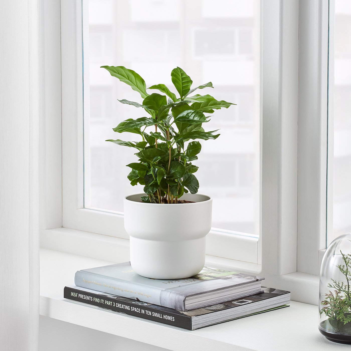 part: FÖRENLIG plant pot