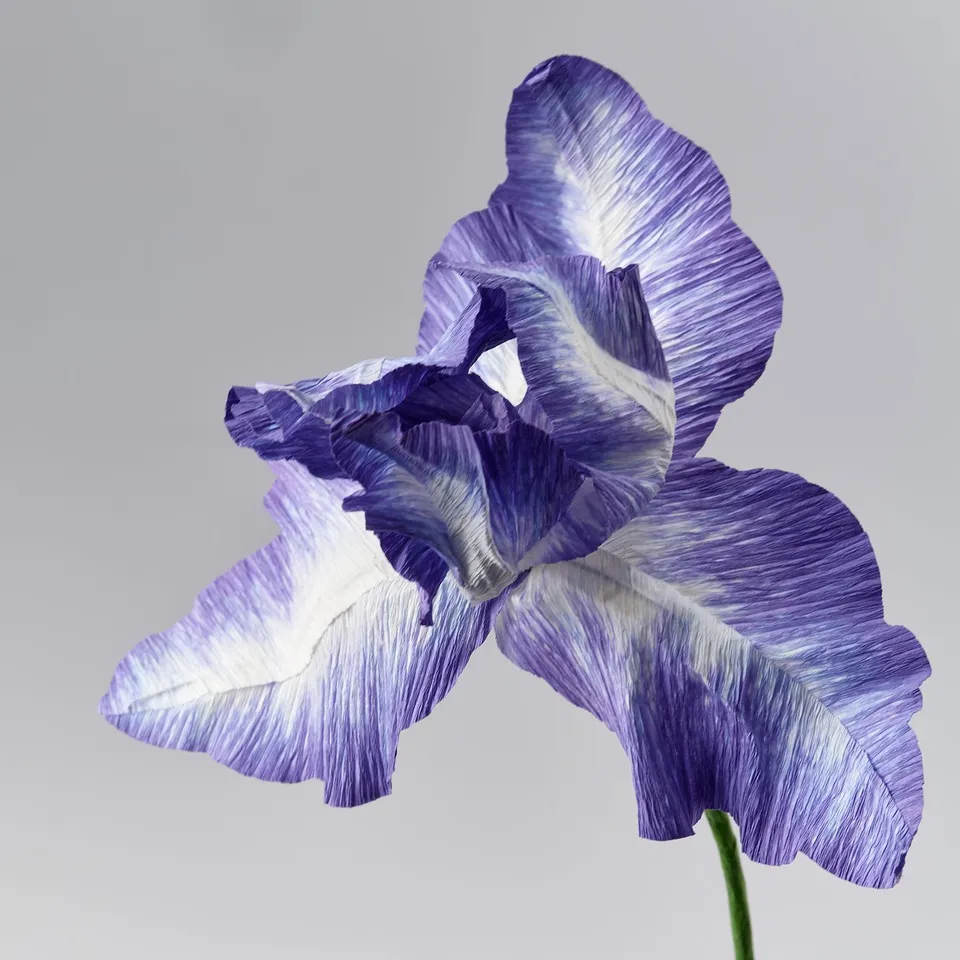 GULDSPETT Artificial flower, paper/iris blue, 45 cm