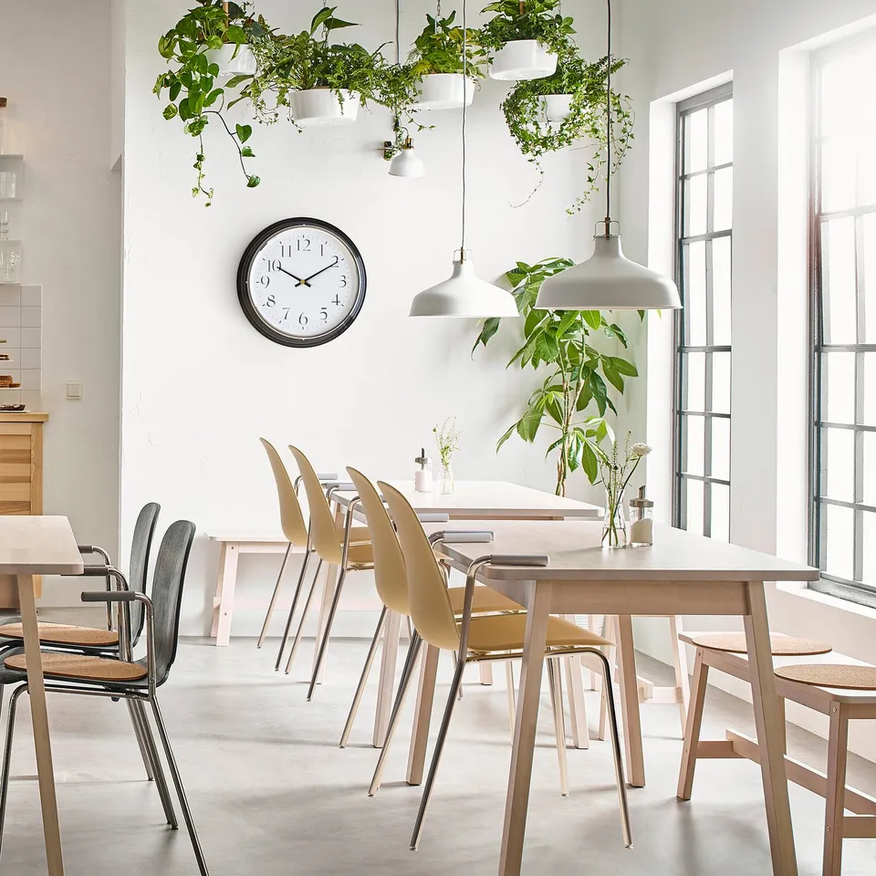 Bright modern café with white tables, wooden chairs, hanging plants, and a silent black clock on wall.