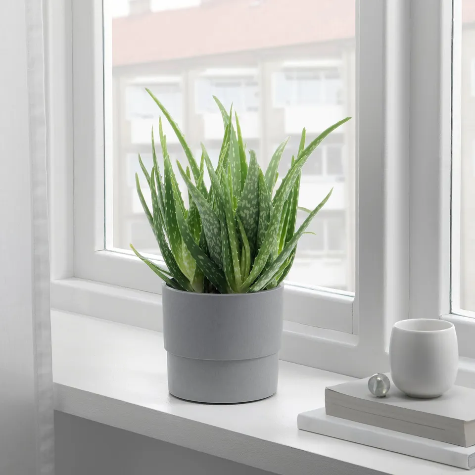 part: NYPON plant pot