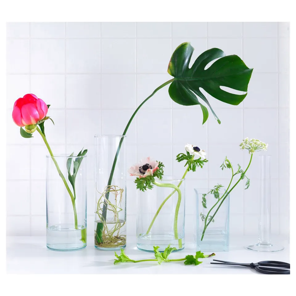 Six glass vases with flowers, scissors.