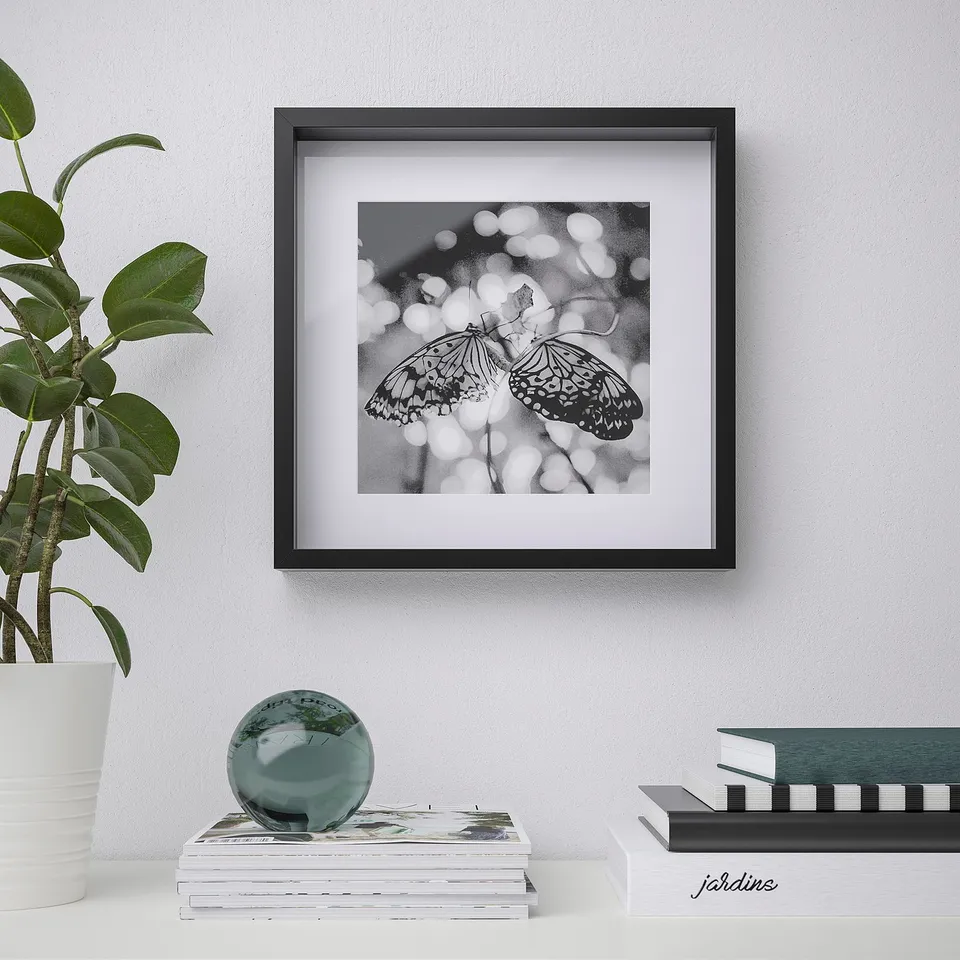 Framed butterfly on white wall, books, plant below.