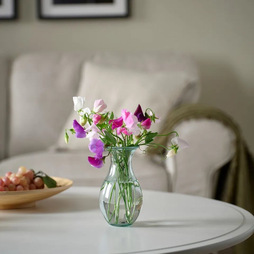BERGKÖRSBÄR in a room
