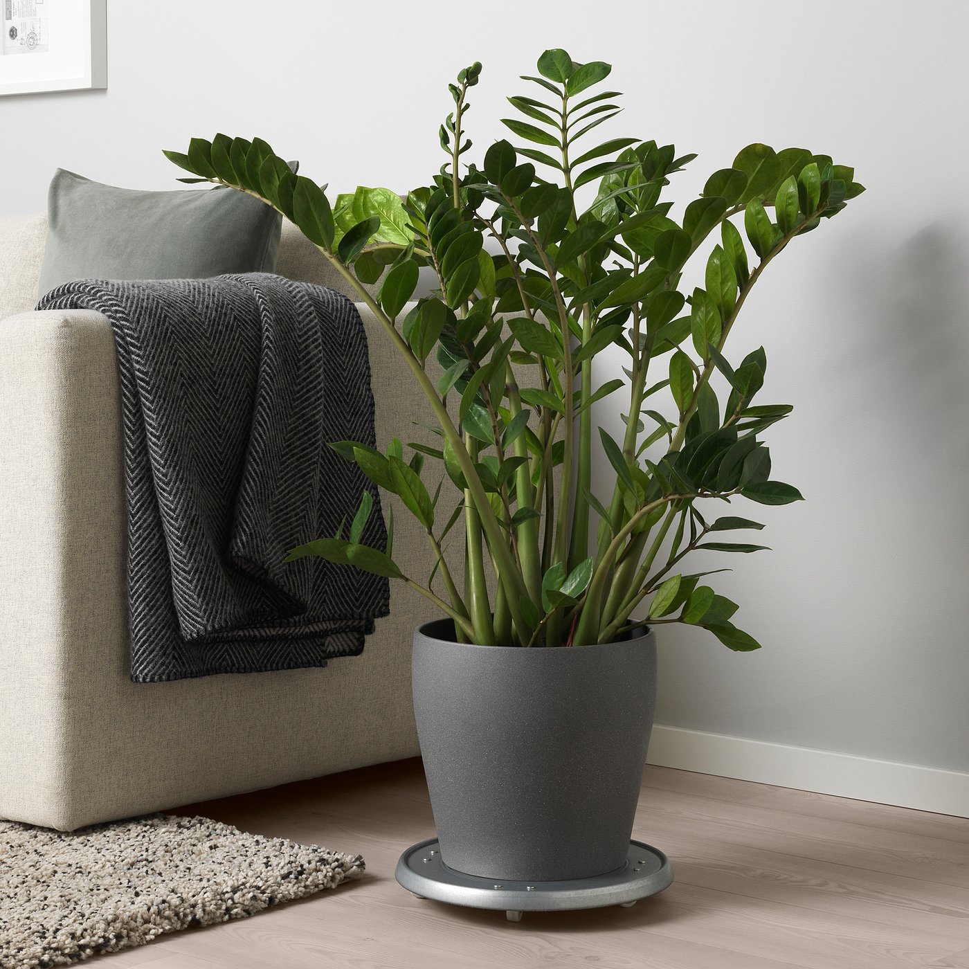 part: PERSILLADE plant pot
