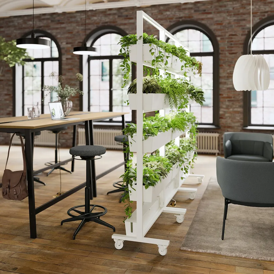 Indoor workspace with MITTZON white plant divider, greenery, high stool, table, and chair.