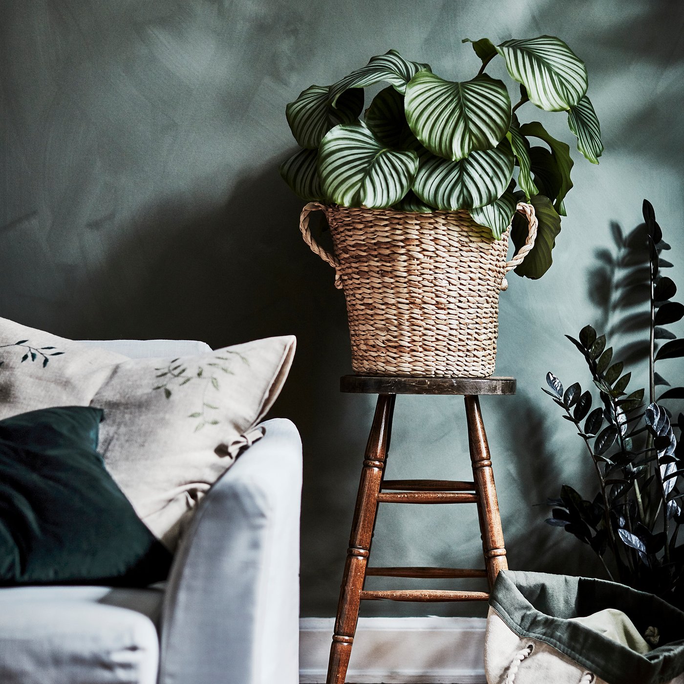 part: TÖRNBÄR plant pot