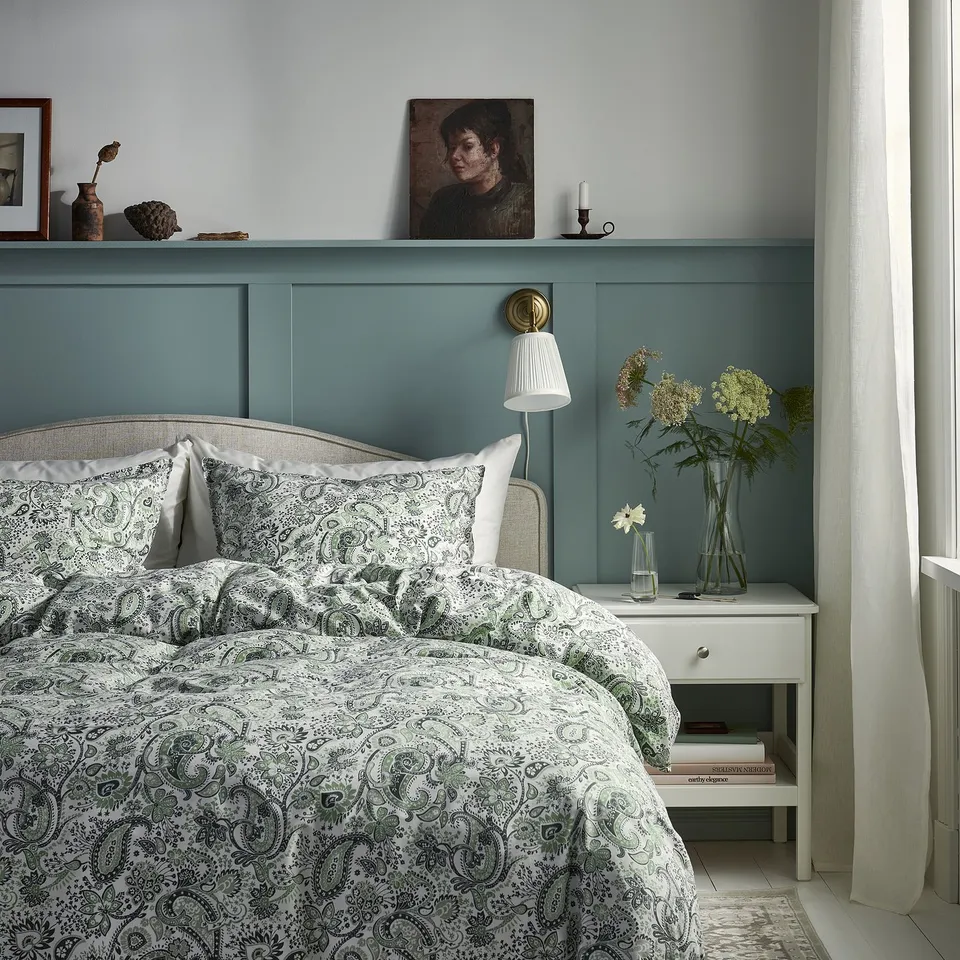 RODGERSIA in a room