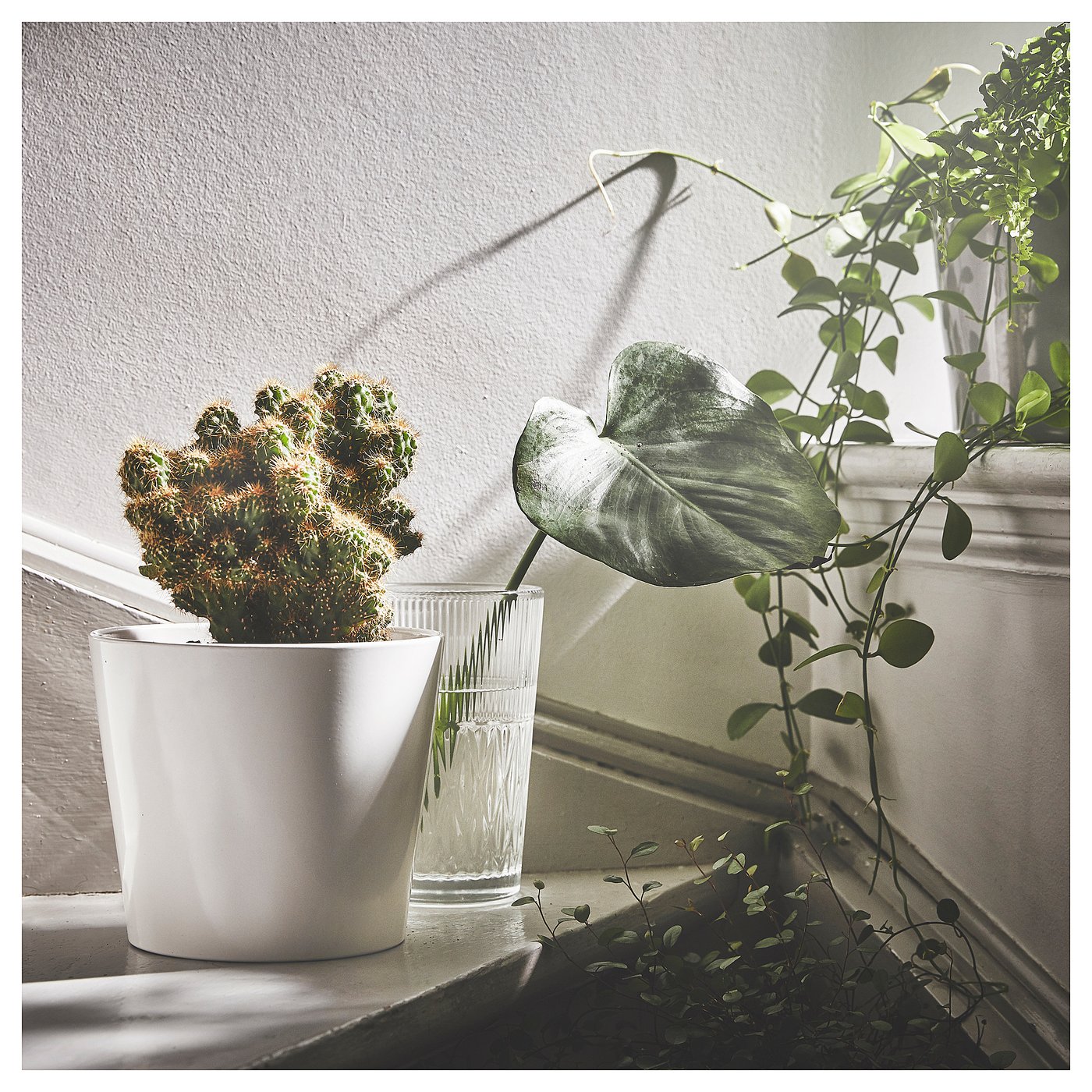 part: SOJABÖNA plant pot