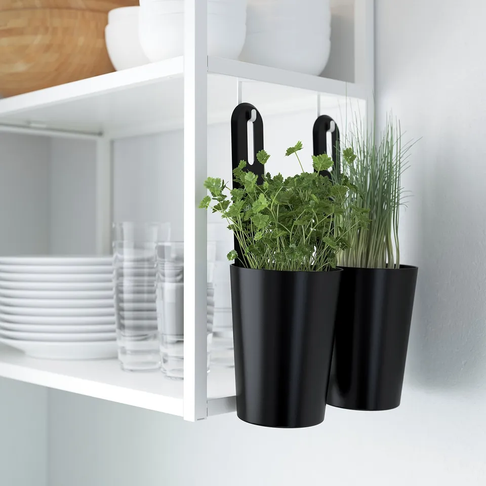 Black hanging pots with green plants next to white kitchen shelves.