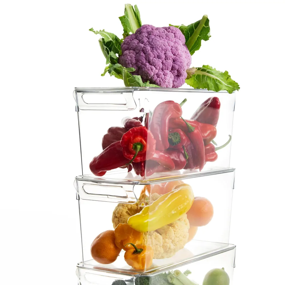 KLIPPKAKTUS Storage box for fridge, transparent, 32x14x14 cm