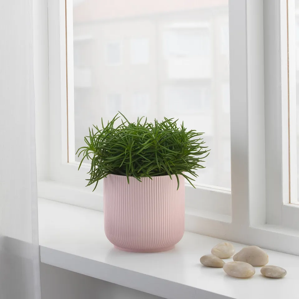 part: GRADVIS plant pot
