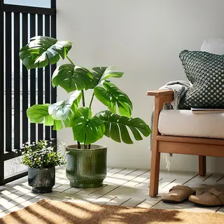FEJKA/HONUNGSPALM set: plant pot + artificial potted plant
