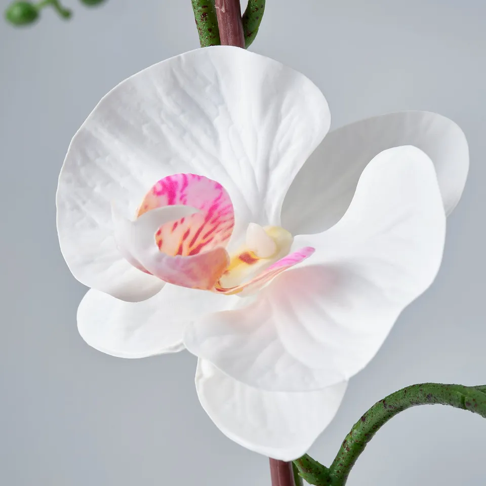FEJKA Artificial potted plant, Orchid white, 12 cm