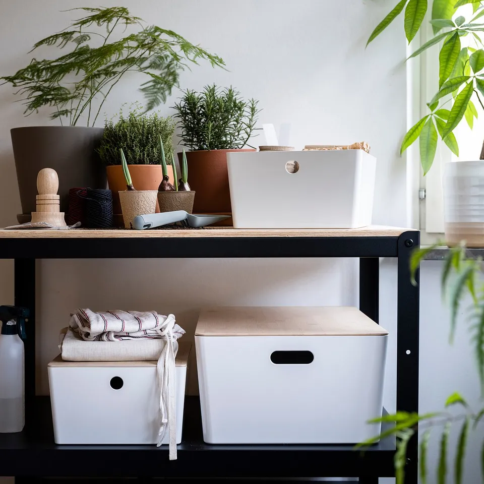 Wooden shelf with KUGGIS boxes, plant, small items.