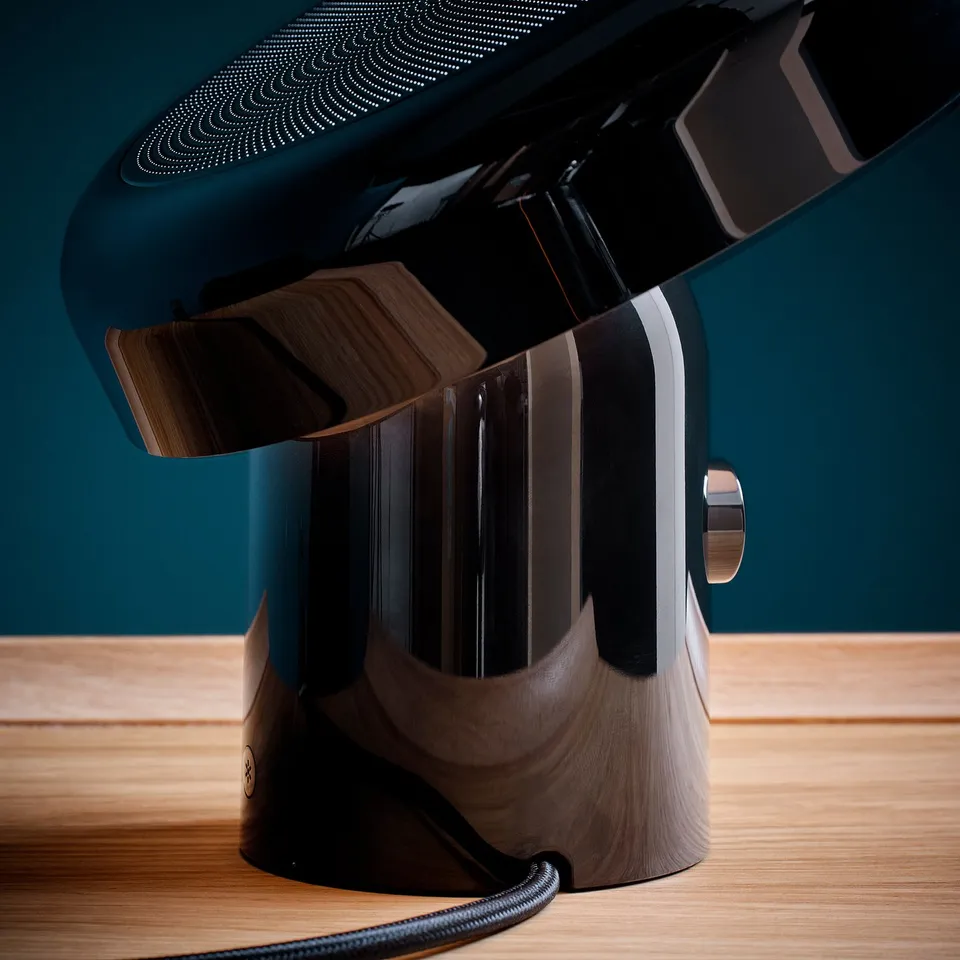 BLOMPRAKT Bluetooth speaker lamp, black
