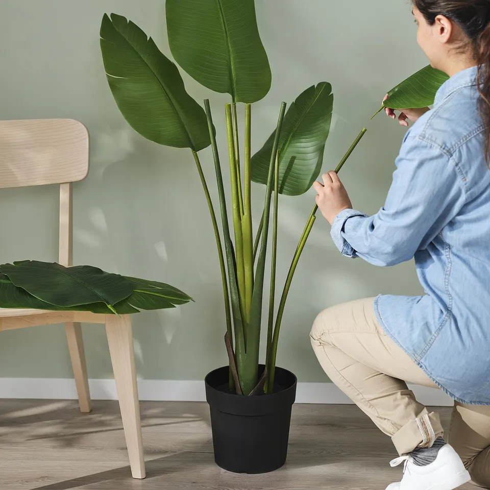 Person arranging indoor/outdoor artificial plant.