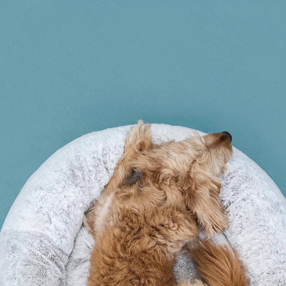 A fluffy, round pet bed with a high edge, providing a snug feel and support, ideal for medium-sized dogs.