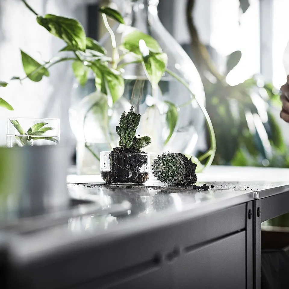 Modern white kitchen island with stainless steel top, glass vases, and green plants; stylish and functional.