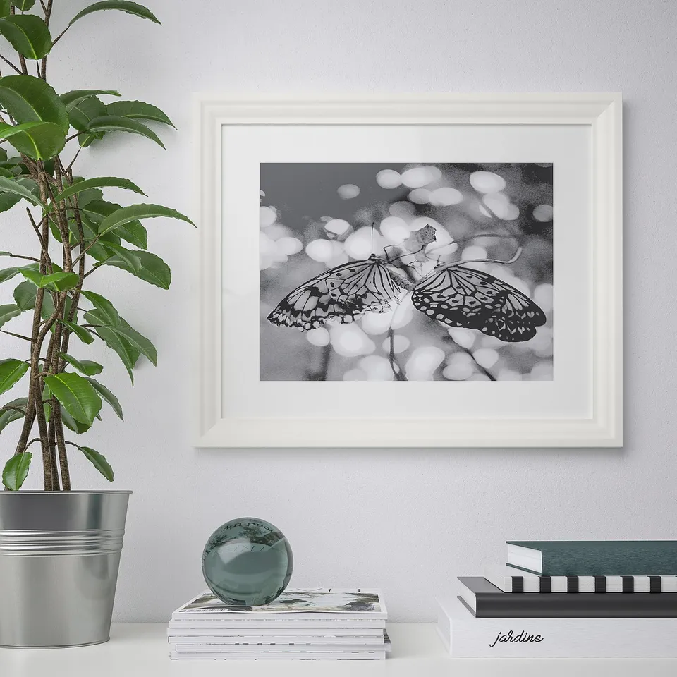Framed black & white butterfly art hangs on a wall above a table with books and a plant. The frame is robust with plastic front protection.