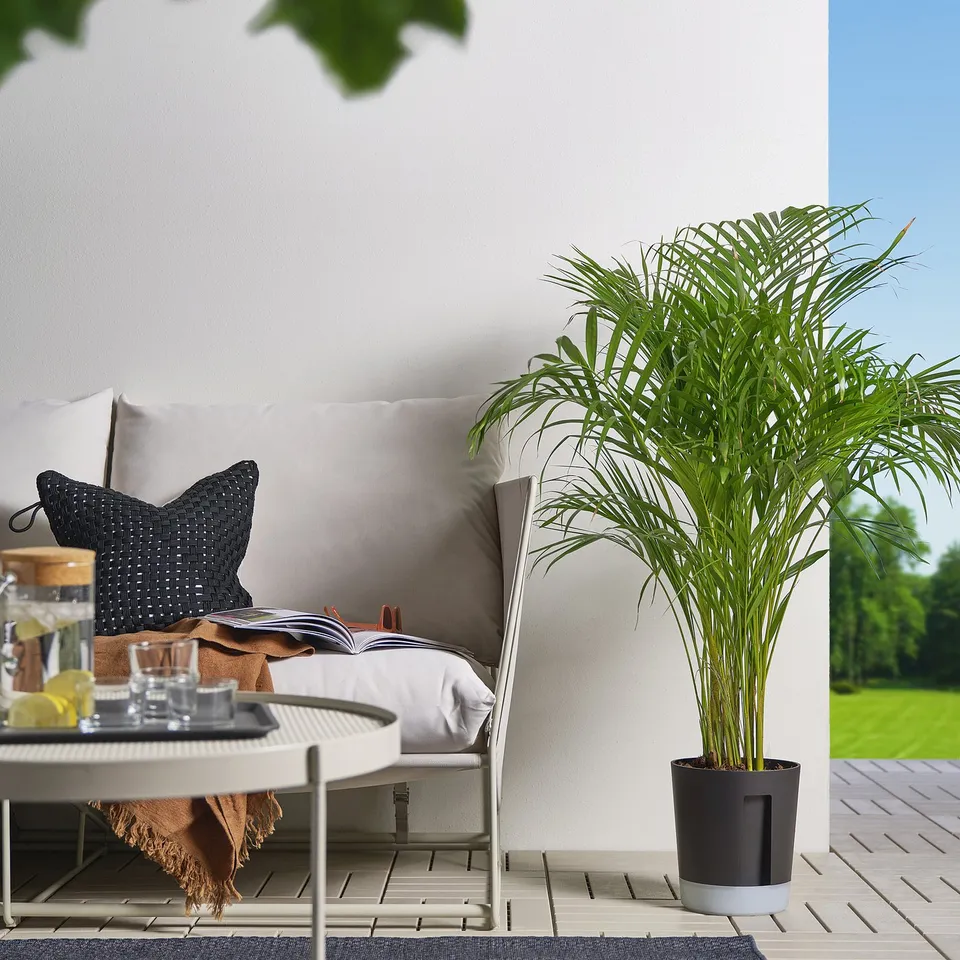 Modern patio: grey couch, black decor, green plant.