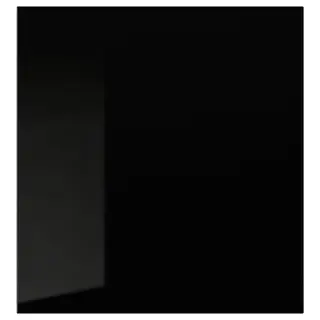 SELSVIKEN door, high-gloss black, 60x64 cm