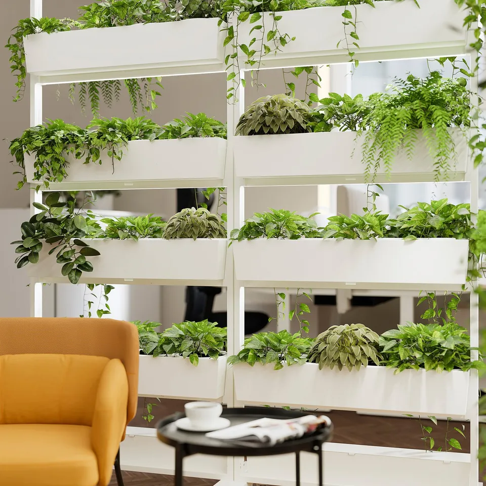 Vertical garden wall with multiple shelves, each holding various green plants, creating an indoor garden.