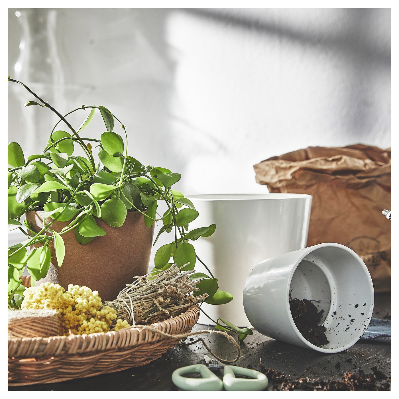 part: SOJABÖNA plant pot