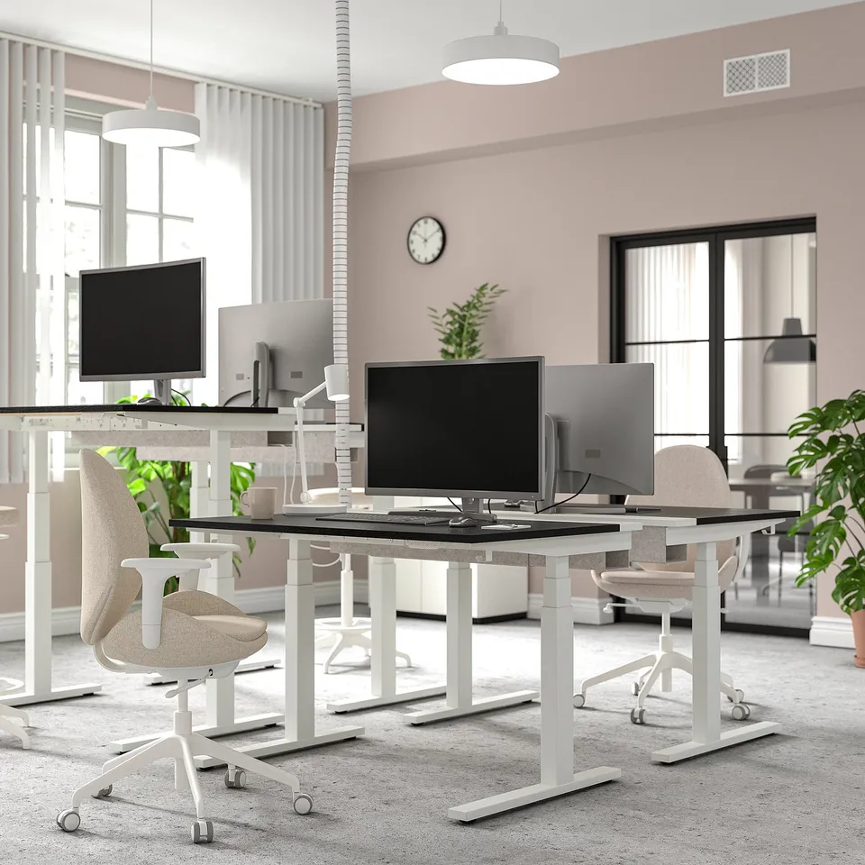 Modern office space with dual motor sit-stand desks, light-colored, sleek design, featuring computers, chairs, and greenery.